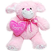 Cuddly Teddy