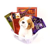 Cute Choco Hamper