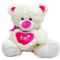 Cuddly Teddy Soft Toy