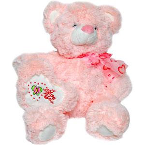 Soft Pink Teddy Bear