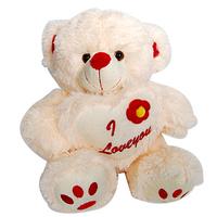 Hug Me Teddy - 12 in