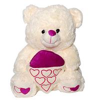 Softy Teddy