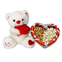 Dry fruits Delight Along With Soft Teddy