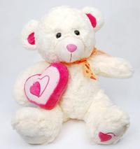 How Cute! Teddy Bear