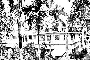 About Chakdaha
