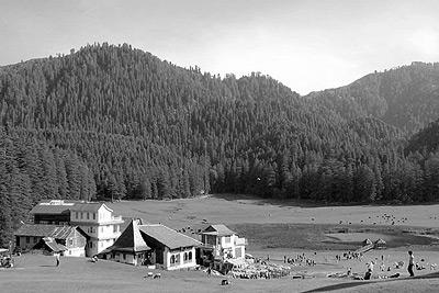 About Dalhousie