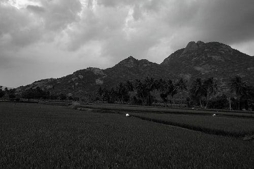 About Kallakurchi