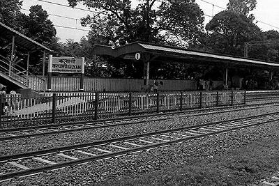 About Kalyani
