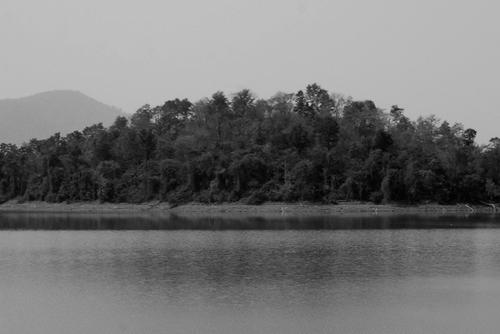 About Palwancha
