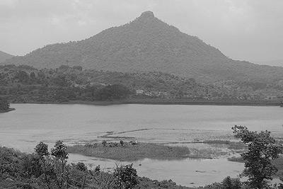 About Panvel