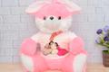 Personalized Teddy for your Sister on Rakhi
