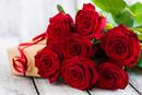 Significance of Red Roses on Valentine's Day