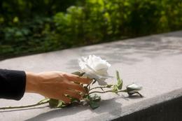 Most Appropriate Flowers to Send for Condolence to India