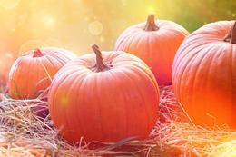 When was Thanksgiving Day?