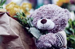 Top 6 Gifts to Express Your Apology