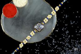 Top 6 Rakhi Gifts to Send to Chandigarh