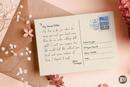 From Letters to Online Gifting: GiftstoIndia24x7 Traces 25 Years of NRI Rakhi Gifting