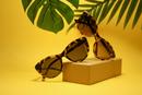 Find the perfect Sunglasses for your loved ones
