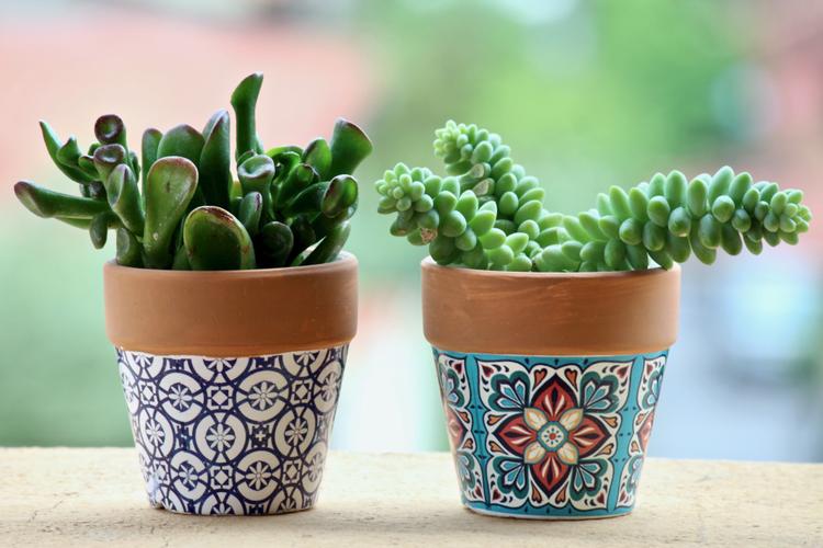 Top 10 Gudi Padwa Gifts for Wife