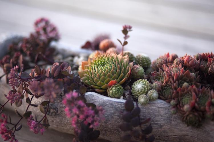 Send Women's Day Gift Hampers To India To Make Her Smile