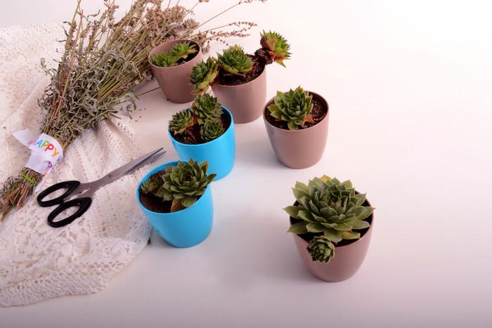 Top 5 Gift Ideas for Baisakhi