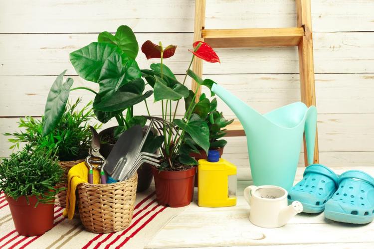 Age-wise Gifts for Aunt