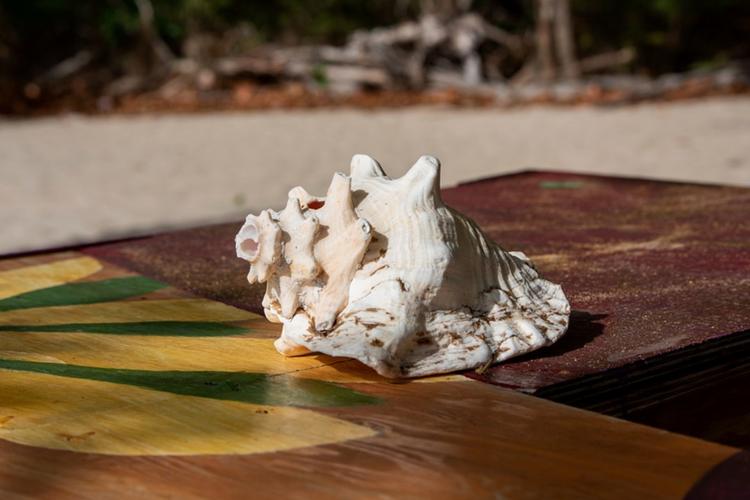 Top 5 Spiritual Gifts on Akshaya Tritiya