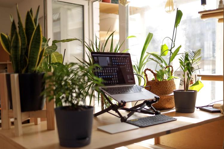 Send Corporate Gifts on Boss Day