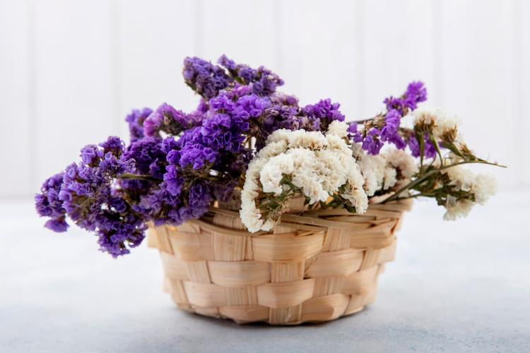 Easiest way to send fresh flowers to Chennai