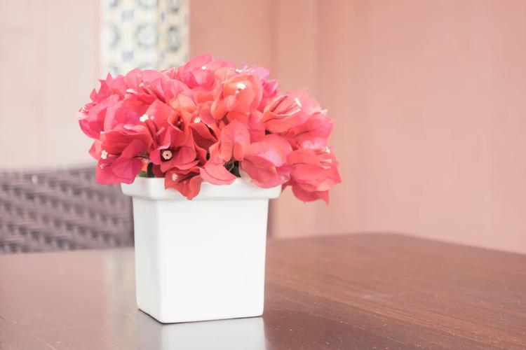 Easiest way to send fresh flowers to Chennai