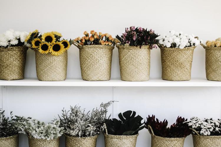 Flowers: The Best  Way to Congratulate Someone