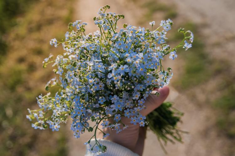 Most Appropriate Flowers to Send for Condolence to India