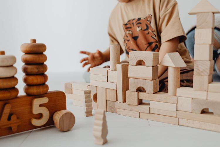 Educational Toys as Gifts to India