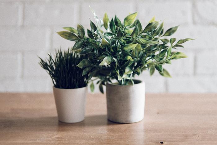 Best Corporate Gift Items