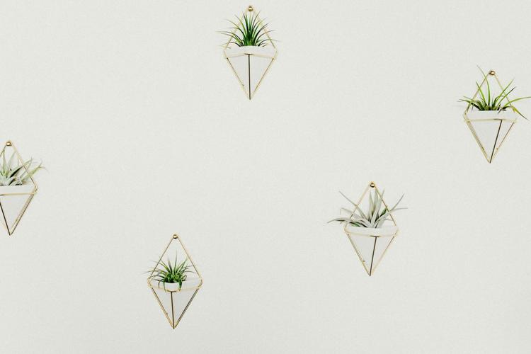 Ganesh Chaturthi Gifts for Her 