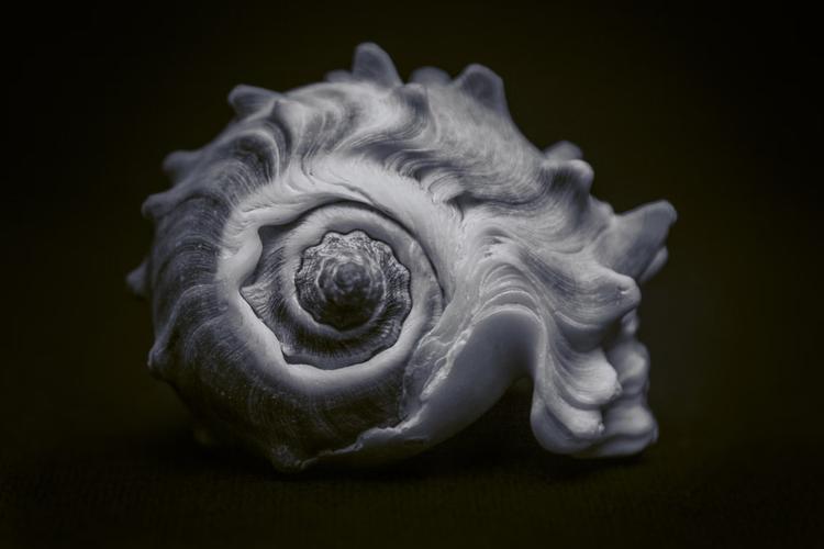 Collection of Spiritual Gifts for Navratri