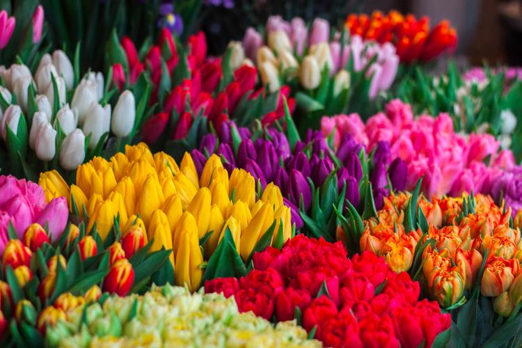 10 Gift Ideas for NRIs in Australia