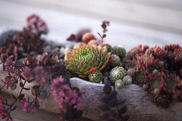 Top 10 Personalized Gifts for Mother-in-Law in India 