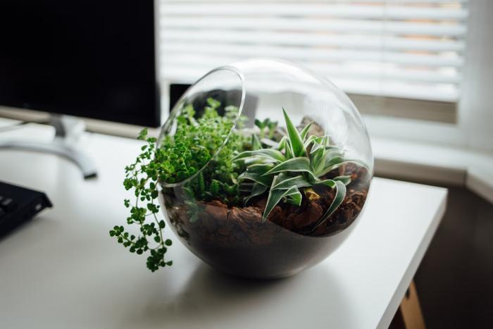 Top 10 Personalized Gifts for Mother-in-Law in India 