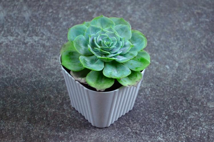 Top 5 Valentine's Day Gifts for your Husband