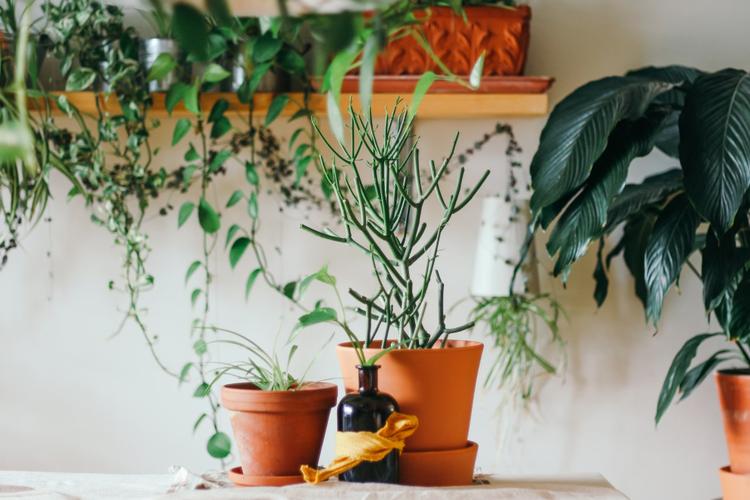 Top 5 New Year Gifts for your loved ones in India