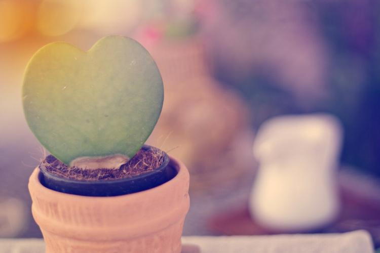 Send Unique Valentine Gifts to India