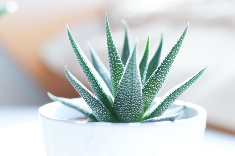 How to make Teacher's Day Special in 2025?