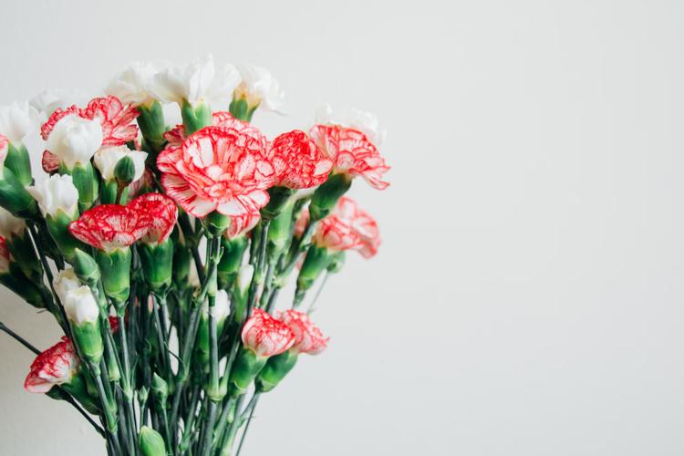 Top 5 Flower Bouquets to Send to India