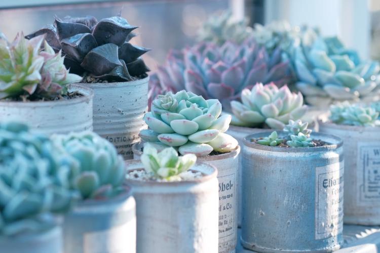 Exclusive Gifts under Rs.500 in India