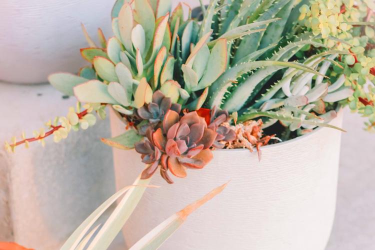 Top 7 Gift Trends of 2025 in Corporate Gifting in India