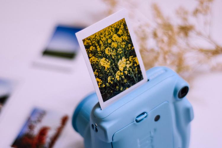 How to Celebrate Valentine's Day in Hyderabad?