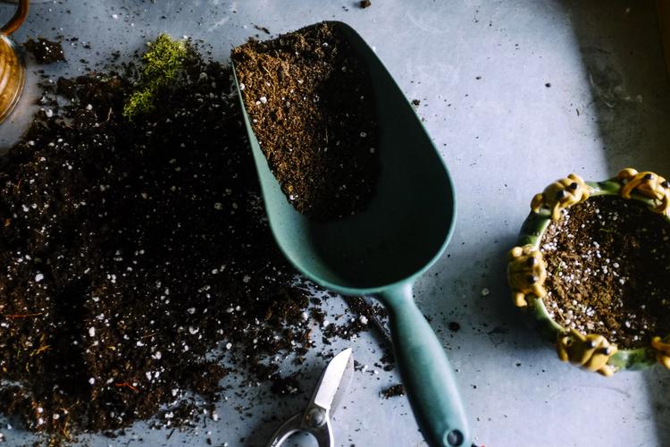 Top 6 Eco-Friendly Valentine's Day Gifts in India 