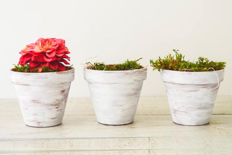 Top 6 Eco-Friendly Valentine's Day Gifts in India 