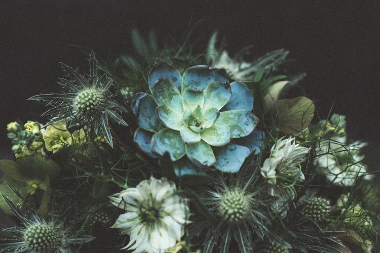 Top 6 Eco-Friendly Valentine's Day Gifts in India 